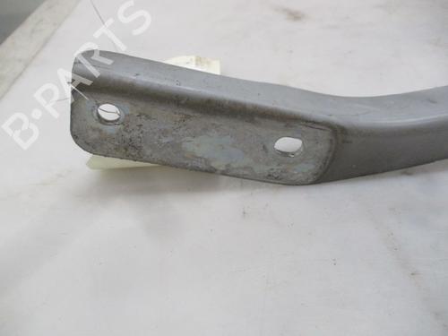 Hinge/Door check strap NISSAN QASHQAI / QASHQAI +2 I (J10, NJ10, JJ10E) 1.5 dCi | BP24971092C146 