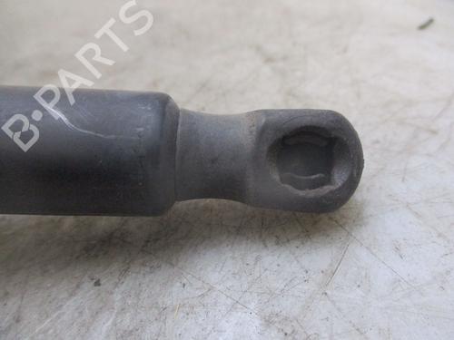 Tailgate lift support VW GOLF VI (5K1)  | BP26638369C138 