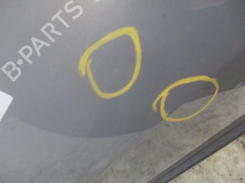 Right rear door RENAULT MEGANE II (BM0/1_, CM0/1_)  | BP29984661C5 