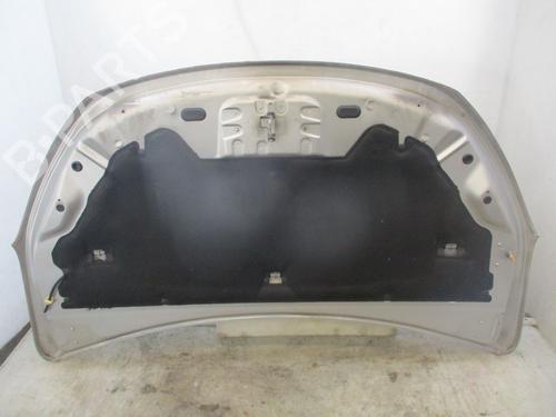 Hood DACIA LODGY (JS_) 1.2 TCe (JSAY, JSM0) | BP29083392C1 
