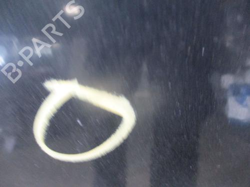 Hood RENAULT TWINGO I (C06_) 1.2 16V (C06C, C06D, C06K) | BP29962091C1