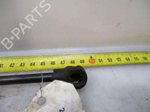 Tailgate lift support RENAULT CLIO IV (BH_) 1.5 dCi 90 | BP20204698C138 
