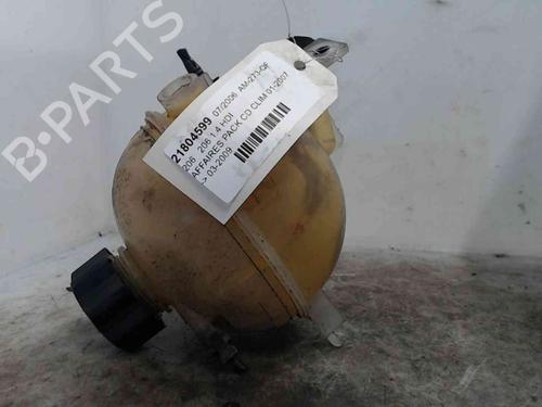 Used Expansion tank PEUGEOT 206 Hatchback (2A/C) 1.4 HDi eco 70 (68 hp) 24007160