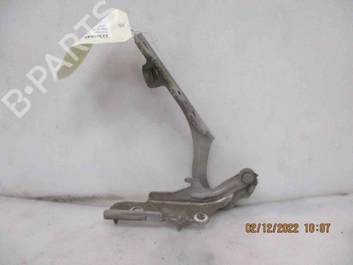 Used Hinge/Door check strap CITROËN C2 (JM_) 1.4 HDi (68 hp) 26628427