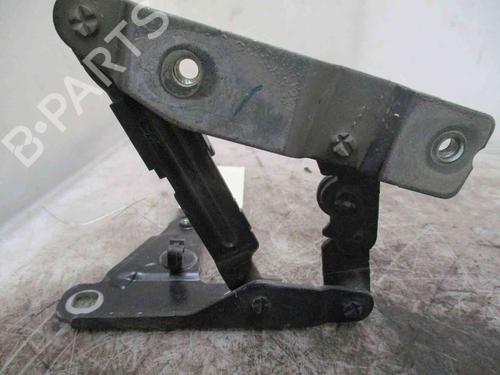 Hinge/Door check strap SEAT ALTEA (5P1)  | BP19717675C146 
