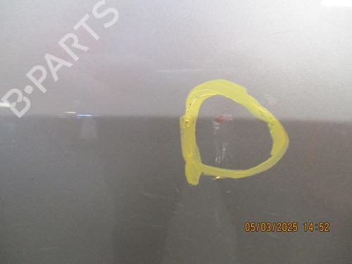 Right front door RENAULT SCÉNIC II (JM0/1_)  | BP26639408C3 