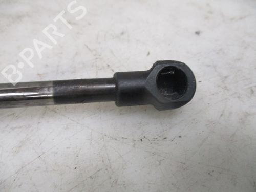 Tailgate lift support SEAT TOLEDO III (5P2) 1.9 TDI | BP26634488C138 