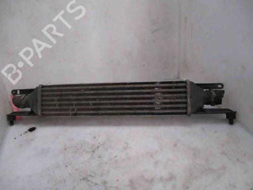 Intercooler FIAT GRANDE PUNTO (199_) 1.3 D Multijet (199.AXD11, 199.AXD1A, 199.AXD1B,... | BP26620293M30 