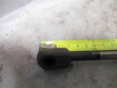 Tailgate lift support SKODA OCTAVIA II (1Z3) 2.0 TDI | BP19735241C138 