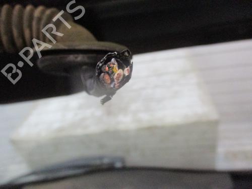 Tailgate DACIA DUSTER (HS_) 1.6 16V | BP31865005C6 