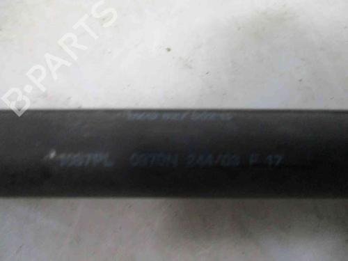 Tailgate lift support AUDI A2 (8Z0) 1.2 TDI | BP20508809C138 