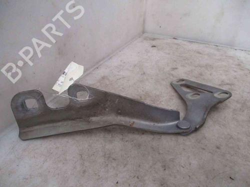 Hinge/Door check strap OPEL VECTRA C (Z02) 1.6 16V (F69) | BP19717318C146 