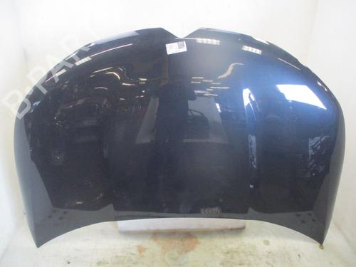 hood-citroen-c4-ii-nc_-2009-37648405 main image