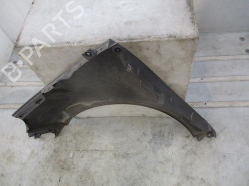 Right front fenders RENAULT SCÉNIC III (JZ0/1_) 1.5 dCi | BP28330554C42 