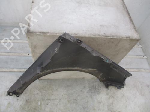 Left front fenders RENAULT SCÉNIC III (JZ0/1_) 1.5 dCi | BP28330556C41 