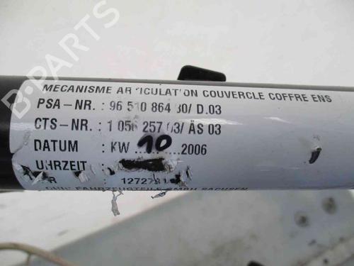 Convertible top PEUGEOT 307 CC (3B) 2.0 HDi 135 | BP20205594C123 