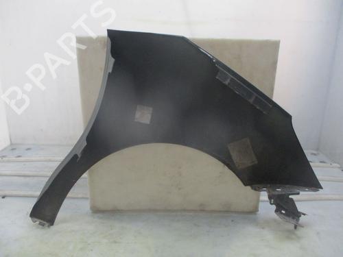 Left front fenders CITROËN C3 II (SC_) 1.4 HDi 70 (SC8HZC, SC8HR0, SC8HP4) | BP29642856C41 