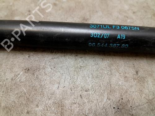 Tailgate lift support CITROËN C4 Picasso I MPV (UD_)  | BP24014563C138 