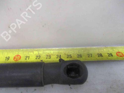 Hood lift support MINI MINI (R56) Cooper | BP19719668C139 