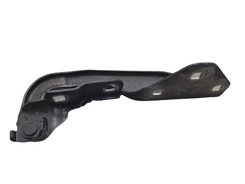 hingedoor-check-strap-dacia-duster-hm_-2017-40049870 main image