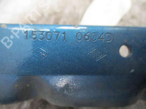 Hinge/Door check strap RENAULT KANGOO Express (FC0/1_)  | BP19713869C146 