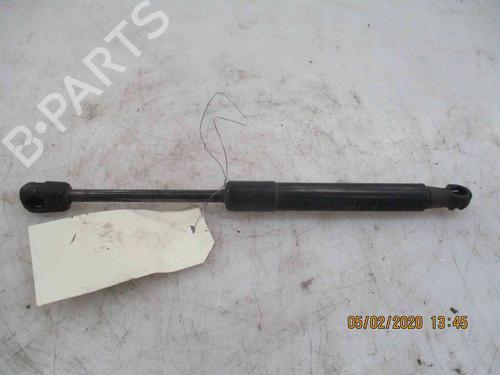 Used Hood lift support RENAULT SCÉNIC III (JZ0/1_) 1.5 dCi (110 hp) 19718317