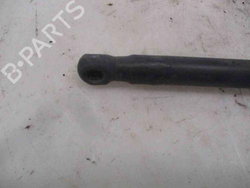 Tailgate lift support CITROËN C3 I (FC_, FN_)  | BP24012856C138 