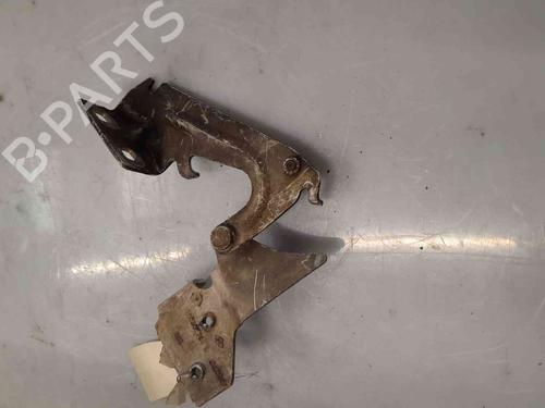 Hinge/Door check strap RENAULT KANGOO Express (FC0/1_)  | BP26626368C146 
