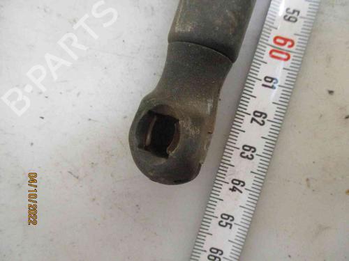 Tailgate lift support FORD FIESTA V (JH_, JD_) 1.25 16V | BP19735344C138 