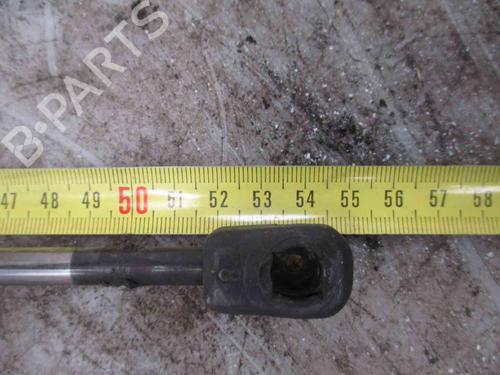 Tailgate lift support SEAT CORDOBA (6K1, 6K2) 1.0 i | BP19734825C138 