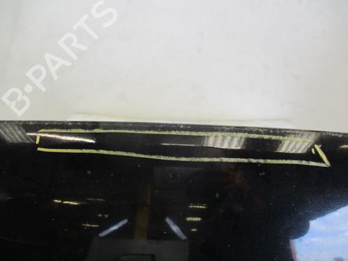 Hood FORD S-MAX (WA6) 2.0 TDCi | BP25043821C1