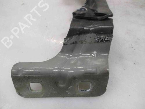 Hinge/Door check strap RENAULT MEGANE II (BM0/1_, CM0/1_) 1.9 dCi | BP19739213C146
