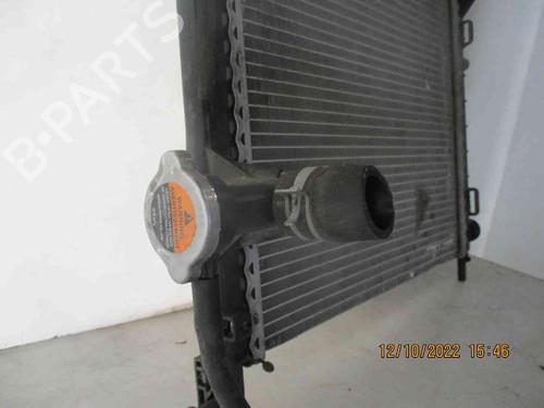 Køler NISSAN MICRA IV (K13K, K13KK) 1.2 | BP26626202M31 