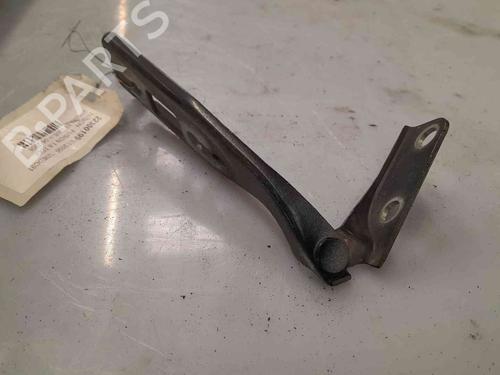 Hinge/Door check strap FORD FUSION (JU_) 1.6 TDCi | BP26628664C146 
