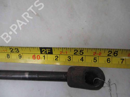Tailgate lift support CITROËN C4 Picasso I MPV (UD_) 1.6 HDi | BP19734655C138 