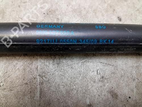 Tailgate lift support VW GOLF VI (5K1)  | BP26637131C138 