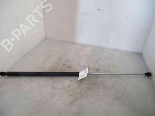 Hood lift support PEUGEOT 106 II (1A_, 1C_) 1.5 D | BP19712661C139 