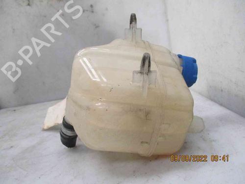 Expansion tank FIAT 500 (312_) 0.9 (312AXG1A, 312.AXG11) | BP26624017C120 