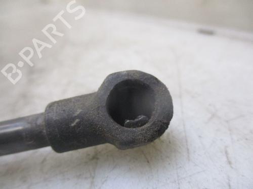 Tailgate lift support TOYOTA YARIS (_P13_) 1.0 (KSP130_, KSP130) | BP24170883C138 