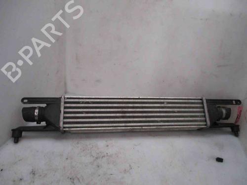 Intercooler FIAT GRANDE PUNTO (199_) 1.3 D Multijet (199.AXD11, 199.AXD1A, 199.AXD1B,... | BP26620293M30 