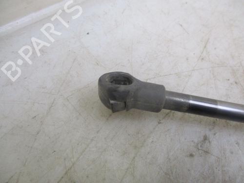 Tailgate lift support NISSAN QASHQAI / QASHQAI +2 I (J10, NJ10, JJ10E) 1.5 dCi | BP24996670C138 