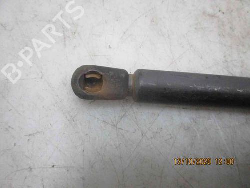 Tailgate lift support NISSAN MICRA III (K12) 1.2 16V | BP19735285C138
