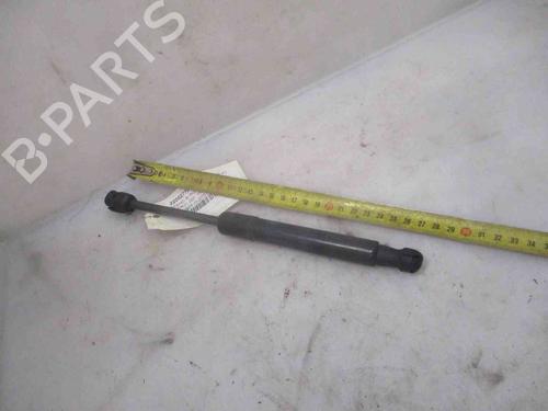 Used Hood lift support RENAULT SCÉNIC III (JZ0/1_) 1.5 dCi (110 hp) 19736441