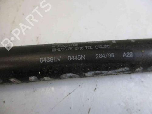 Tailgate lift support ROVER 400 II Hatchback (RT)  | BP20201597C138 