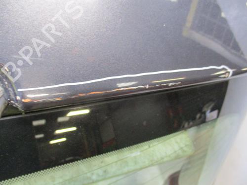 Tailgate RENAULT MEGANE III Hatchback (BZ0/1_, B3_) 1.5 dCi (BZ0C) | BP24970687C6 