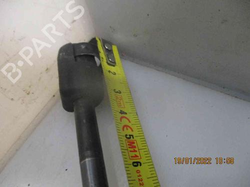Tailgate lift support CITROËN C4 Picasso I MPV (UD_) 1.6 HDi | BP19734805C138 