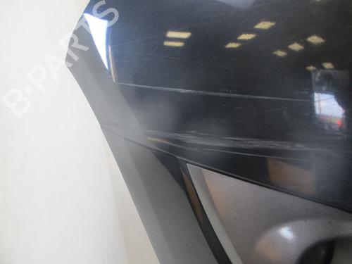Front bumper RENAULT SCÉNIC III (JZ0/1_) 1.6 dCi (JZ00, JZ12) | BP29317586C7 