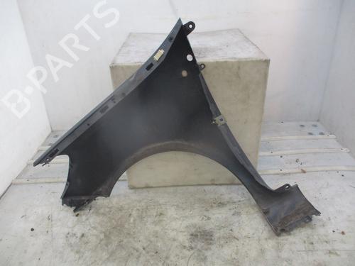 Right front fenders RENAULT CLIO III (BR0/1, CR0/1)  | BP29379758C42 