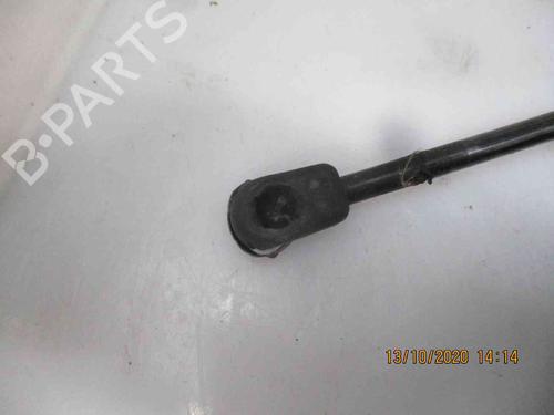 Tailgate lift support SKODA OCTAVIA II (1Z3) 1.9 TDI | BP19735705C138 