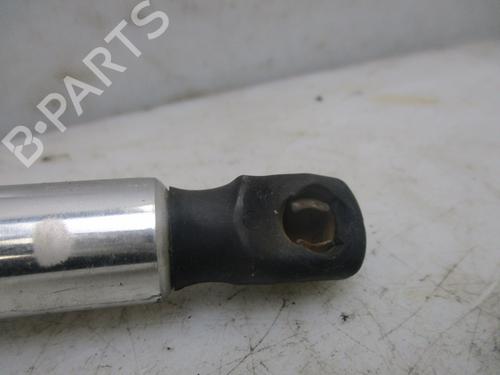 Tailgate lift support VW GOLF IV (1J1)  | BP26635731C138 